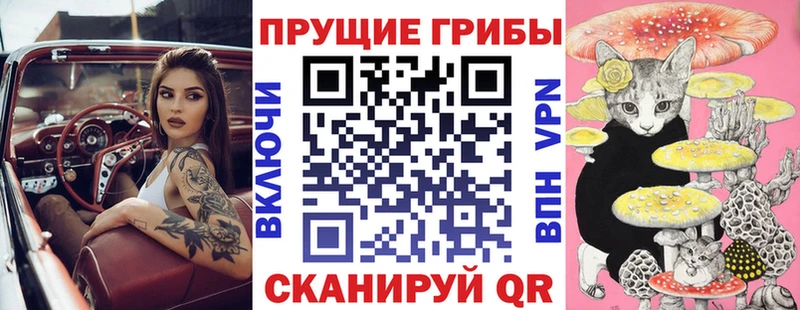 Галлюциногенные грибы MAGIC MUSHROOMS  Цимлянск 