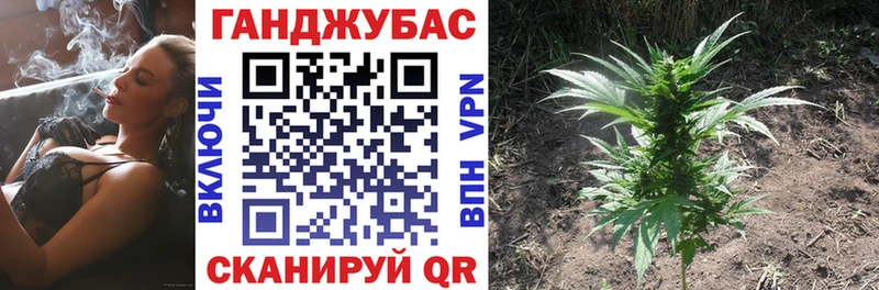 Шишки марихуана марихуана Цимлянск
